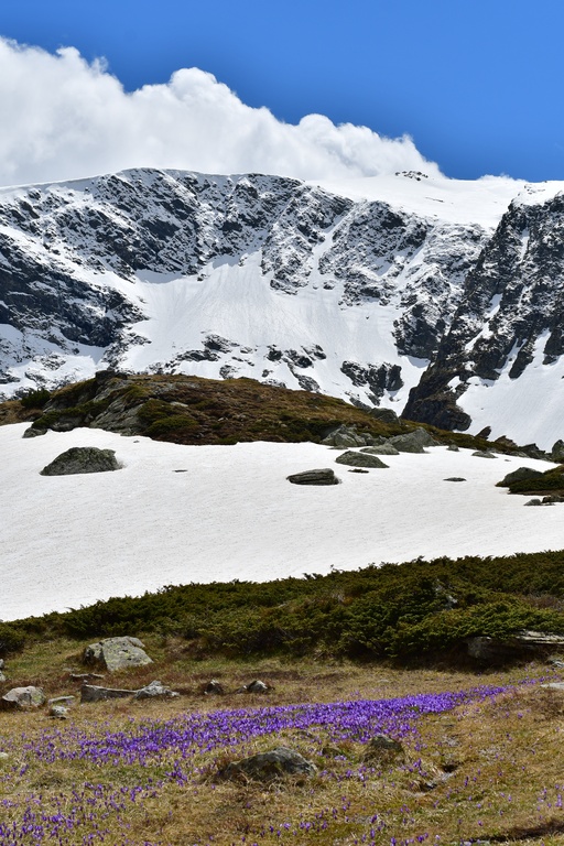 2025-05-17 Sofia/DSC_1858.JPG